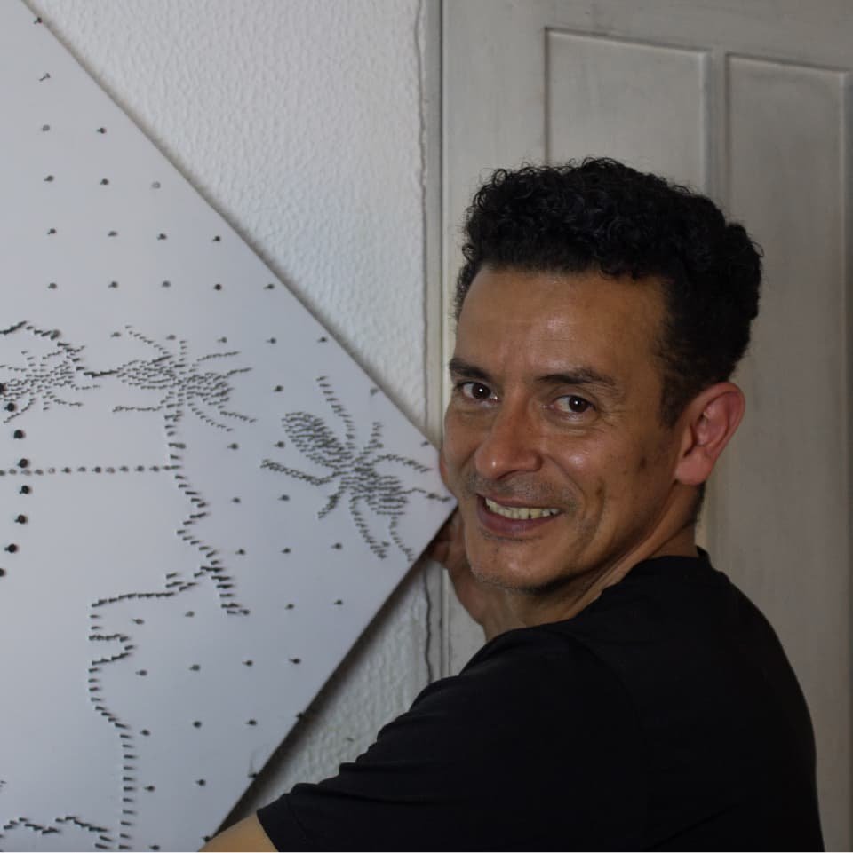 Reinaldo Castro Artista