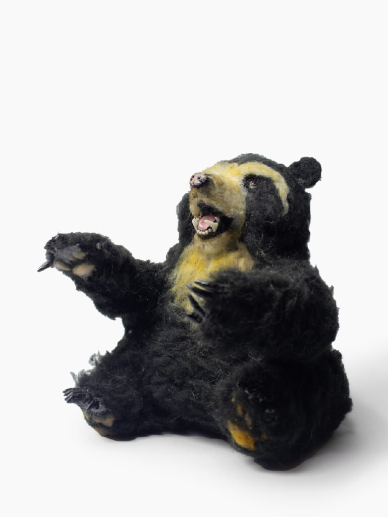 Needle Felting por Victoria Salcedo