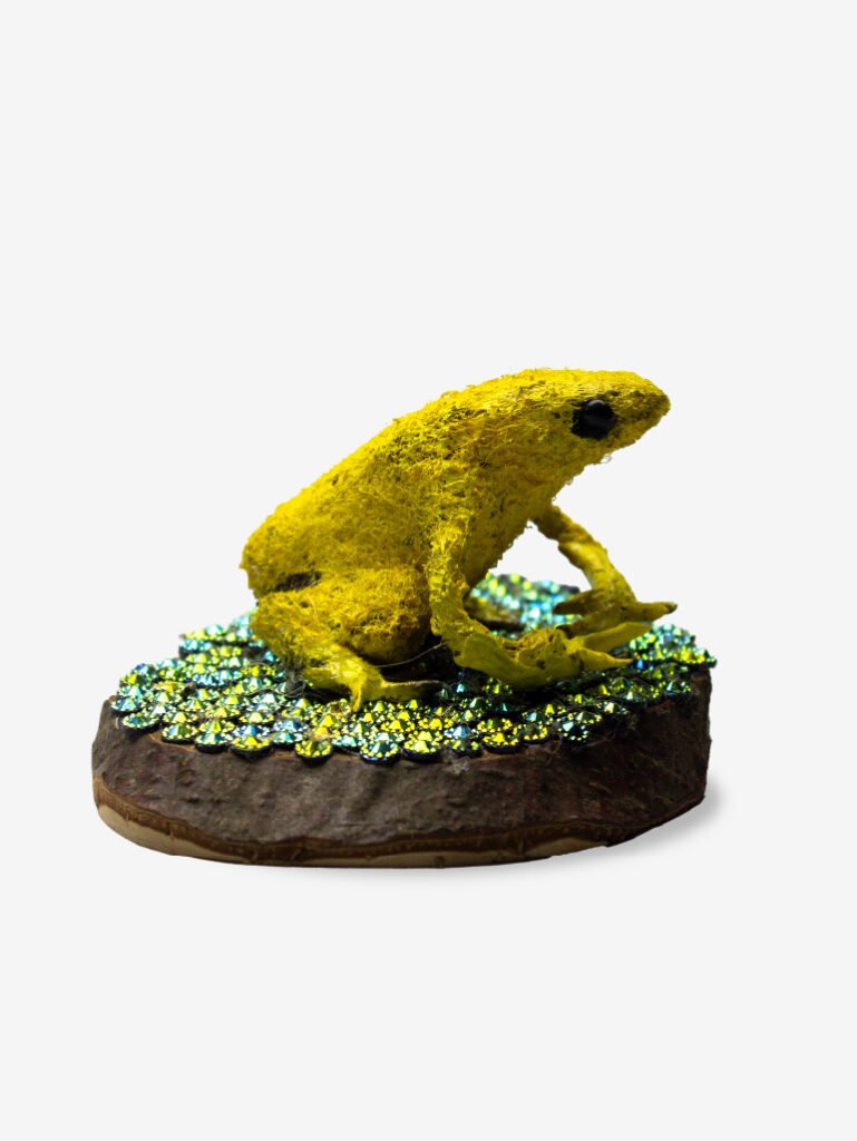 Needle Felting por Vixtoria Salcedo Vitichii